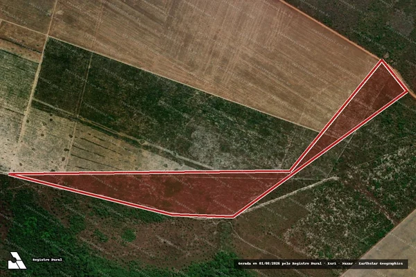 Imagem de satélite — Embargo IBAMA — Infração da Flora — Riachão/MA