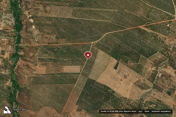 Imagem de satélite de Infração Ambiental em Cocos - BA (marcador da localização)