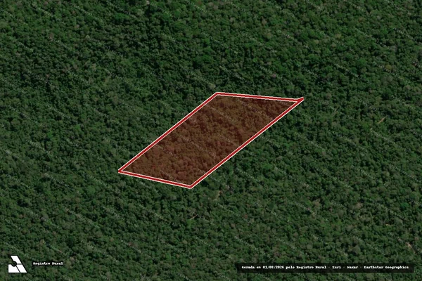 Imagem de satélite de Infração da Flora em Uruará - PA