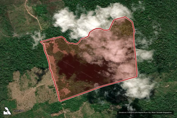 Imagem de satélite de Infração da Flora em Placas - PA