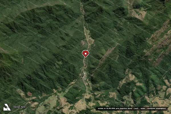 Imagem de satélite de Infração da Flora em Passa-Vinte - MG (marcador da localização)