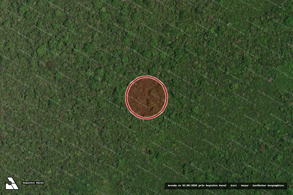 Imagem de satélite — Embargo Ambiental - Alto Alegre/RR