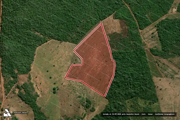 Imagem de satélite — Embargo IBAMA — Infração da Flora — Montes Altos/MA