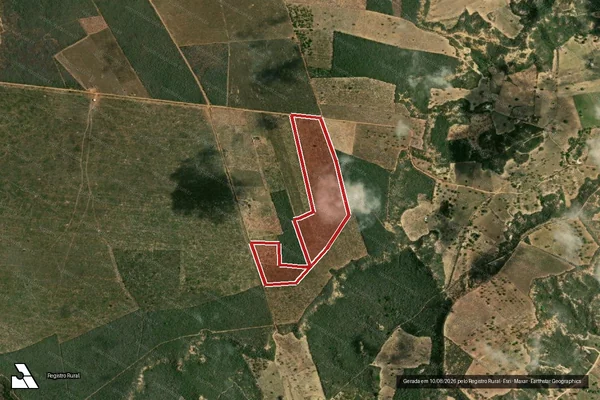 Imagem de satélite — Embargo IBAMA — Infração da Flora - Novo Triunfo/BA
