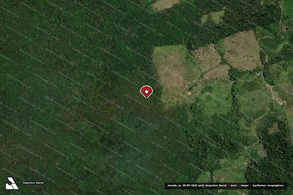 Imagem de satélite — Embargo IBAMA — Infração da Flora — Uruará/PA