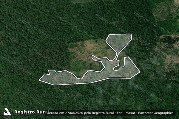 Imagem de satélite de Infração da Flora em Anapu - PA