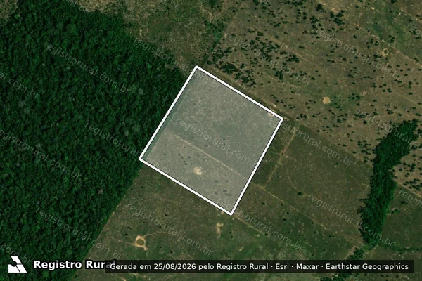 Imagem de satélite de Infração da Flora em Porto Velho - RO