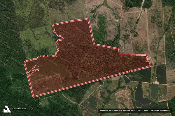 Imagem de satélite de Infração Ambiental em Novo Progresso - PA