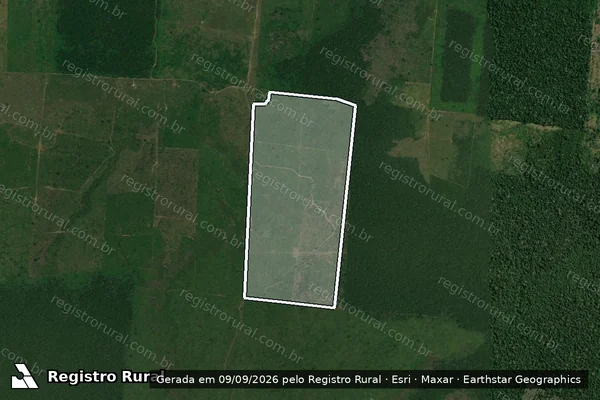 Imagem de satélite de Infração da Flora em Humaitá - AM