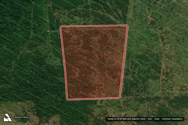 Imagem de satélite de Infração da Flora em Porto Velho - RO