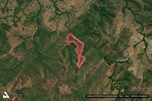 Imagem de satélite de Infração Ambiental em Formoso - GO