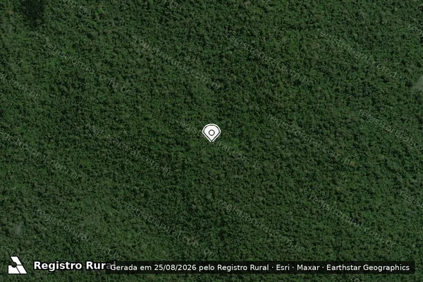 Imagem de satélite de Infração da Flora em Uruará - PA (marcador da localização)