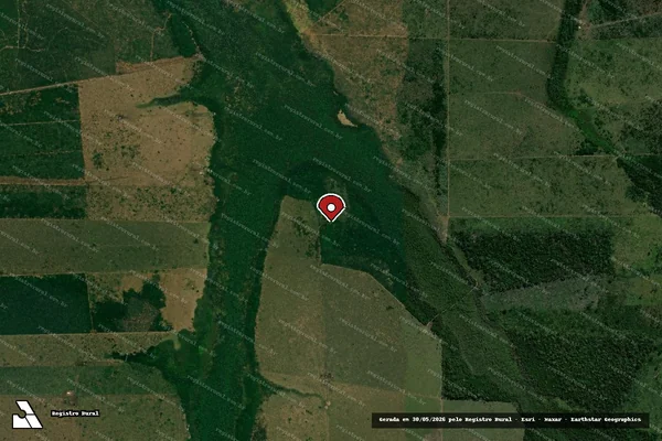 Imagem de satélite de Infração Ambiental em Guajará-Mirim - RO (marcador da localização)