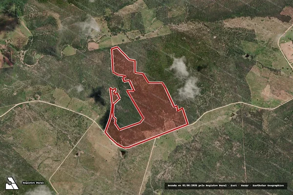 Imagem de satélite de Infração da Flora em Belo Monte - AL