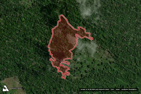 Imagem de satélite — Embargo IBAMA — Infração da Flora — Almeirim/PA