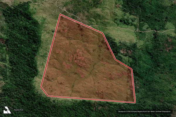 Imagem de satélite de Infração da Flora em São Félix do Xingu - PA