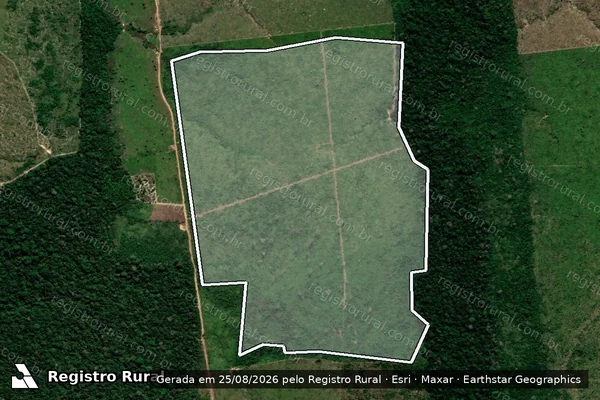Imagem de satélite de Infração da Flora em Apuí - AM