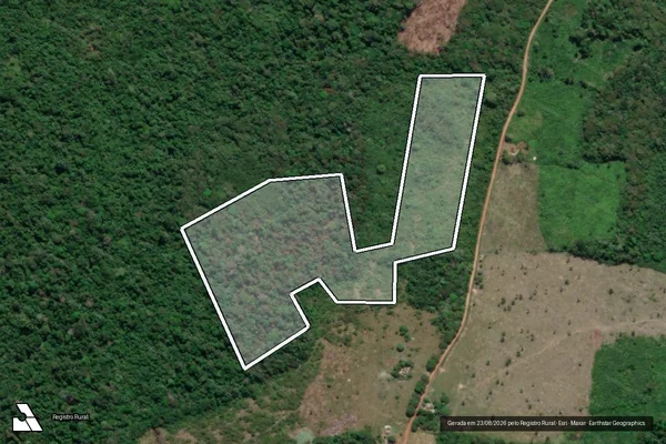 Imagem de satélite de Infração da Flora em Parintins - AM