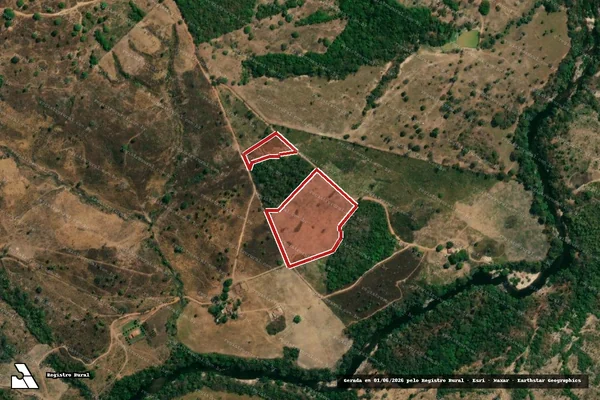 Imagem de satélite de Infração Ambiental em Colinas do Sul - GO