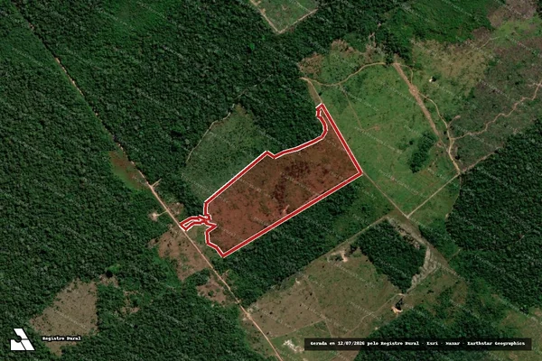 Imagem de satélite de Infração da Flora em Porto Velho - RO