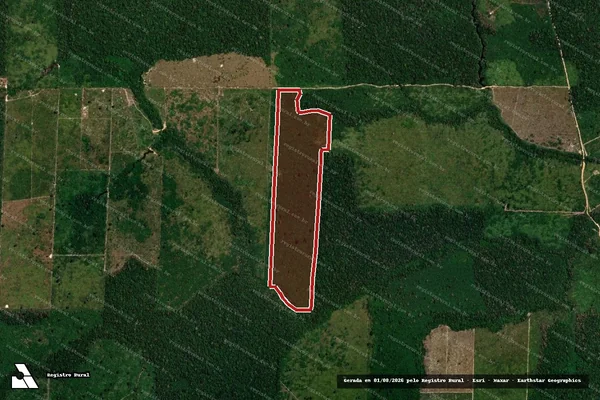 Imagem de satélite de Infração da Flora em Porto Velho - RO