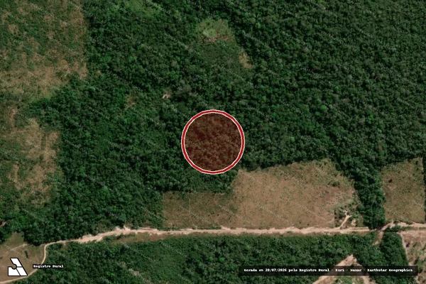 Imagem de satélite — Embargo IBAMA — Infração Ambiental - Pimenta Bueno/RO