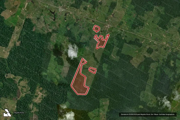 Imagem de satélite de Infração da Flora em Feijó - AC
