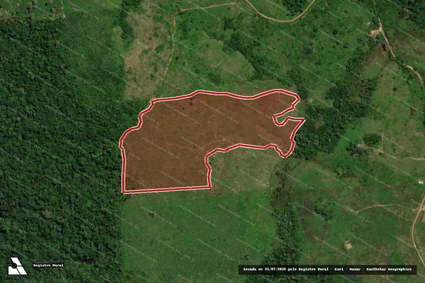 Imagem de satélite de Infração da Flora em Pacajá - PA