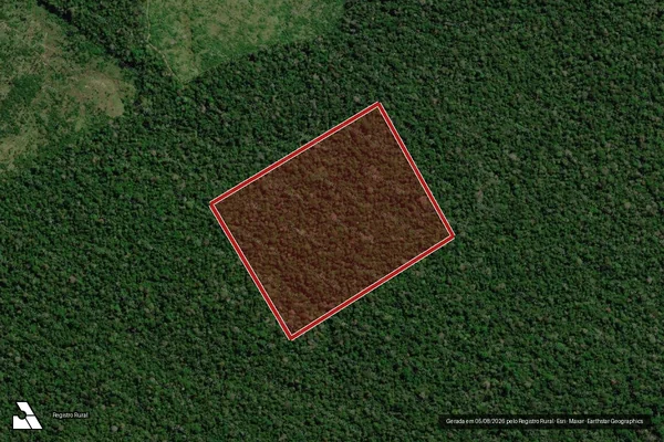 Imagem de satélite de Infração Ambiental em Apuí - AM