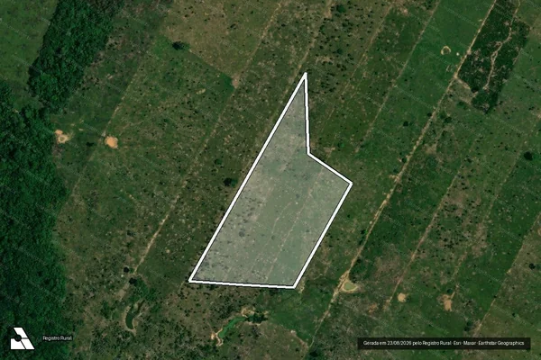Imagem de satélite de Desmatamento em Porto Velho - RO