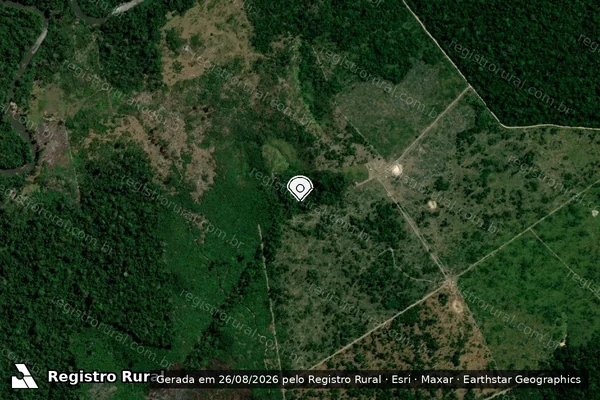 Imagem de satélite de Infração da Flora em Portel - PA (marcador da localização)