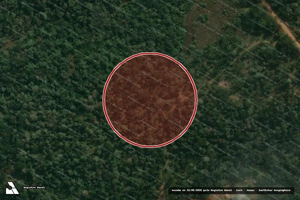 Imagem de satélite de Infração Ambiental em Cruz Machado - PR