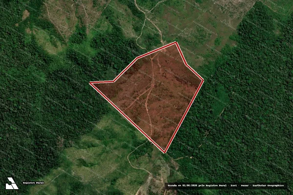 Imagem de satélite de Infração Ambiental em Apuí - AM