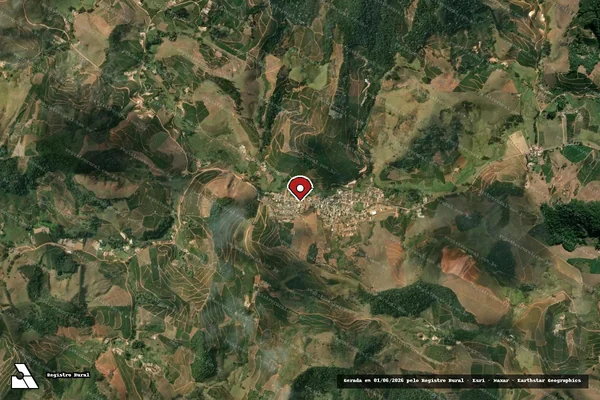 Imagem de satélite de Infração da Fauna em Divino - MG (marcador da localização)