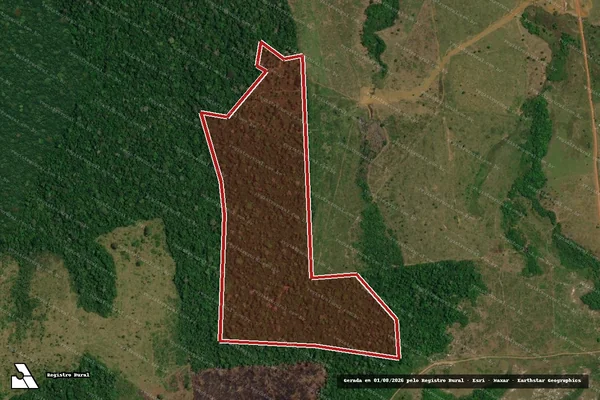 Imagem de satélite de Infração da Flora em Apuí - AM