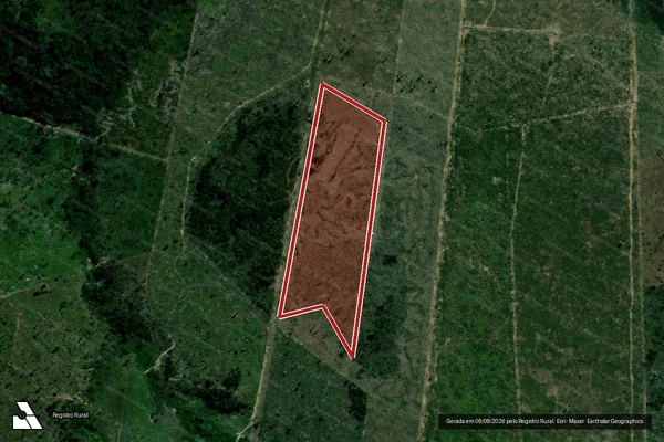 Imagem de satélite de Infração da Flora em Machadinho D'Oeste - RO