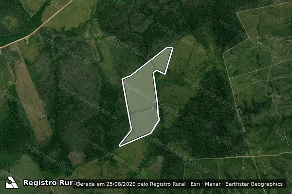 Imagem de satélite de Infração da Flora em Apuí - AM