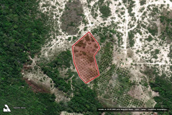Imagem de satélite — Embargo Ambiental — Pirambu/SE