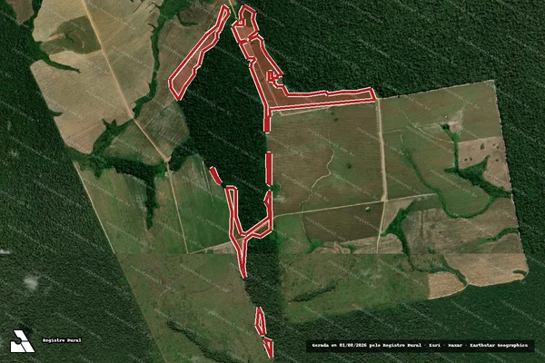 Imagem de satélite de Infração Ambiental em Porto Velho - RO