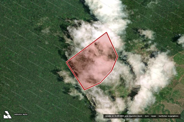 Imagem de satélite de Infração da Flora em Cantá - RR