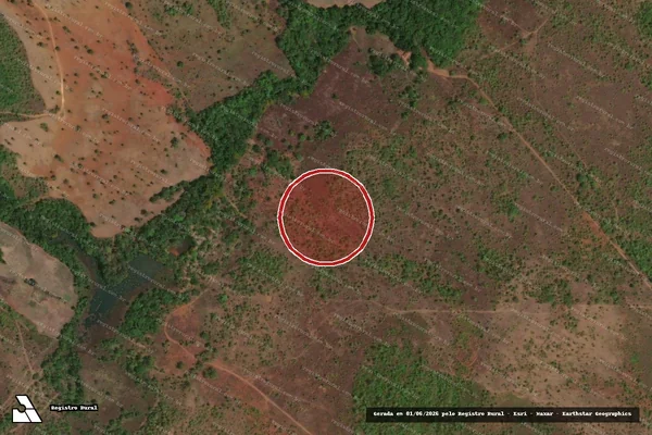 Imagem de satélite de Infração Ambiental em Palmas - TO