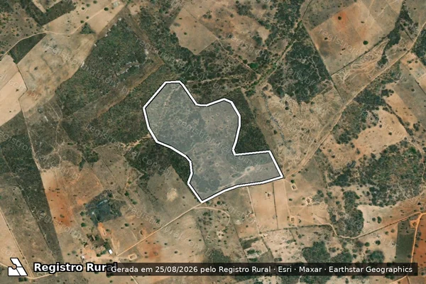 Imagem de satélite de Infração da Flora em Carneiros - AL