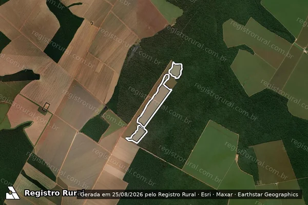 Imagem de satélite de Infração da Flora em Santa Carmem - MT
