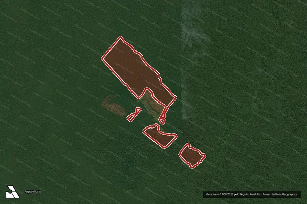 Imagem de satélite — Embargo IBAMA — Infração da Flora - Manicoré/AM