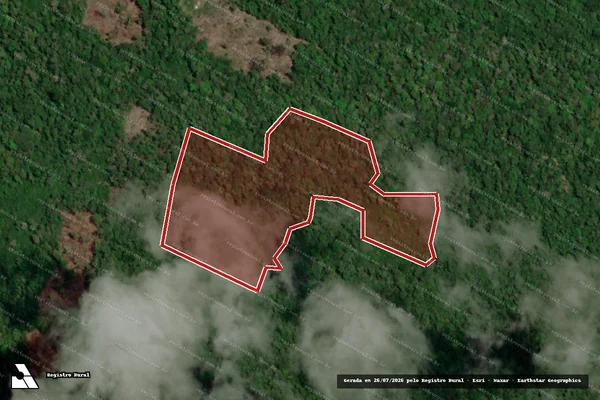 Imagem de satélite — Embargo Ambiental - Caracaraí/RR