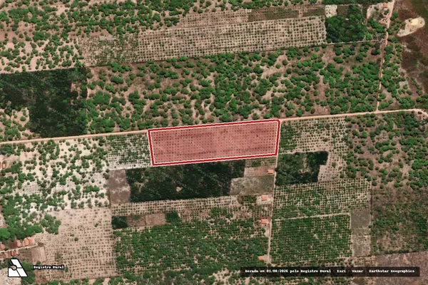 Imagem de satélite — Embargo IBAMA — Infração da Flora — Bela Cruz/CE