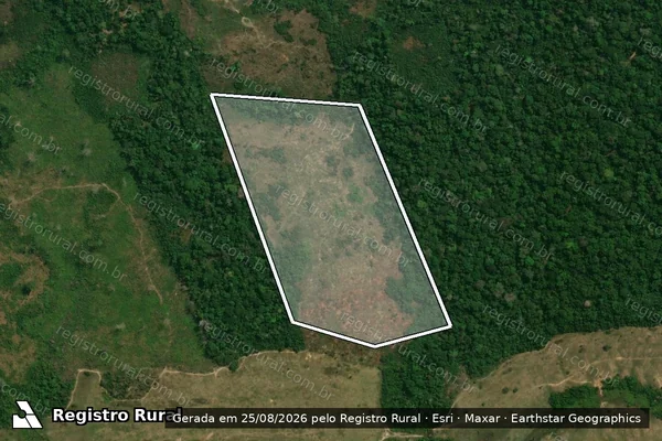 Imagem de satélite de Infração da Flora em Boca do Acre - AM