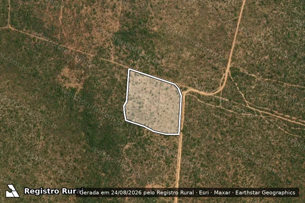 Imagem de satélite — Embargo IBAMA — Infração da Flora — Mambaí/GO
