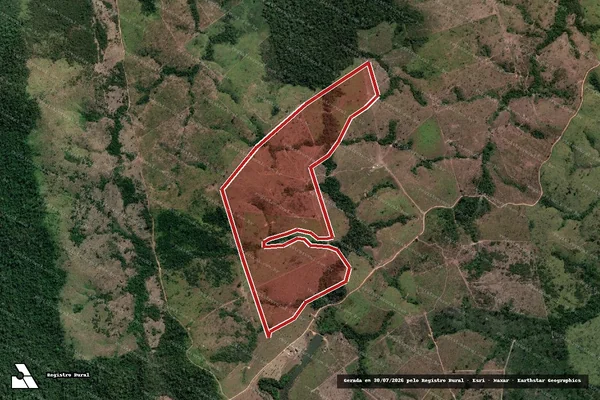 Imagem de satélite de Infração Ambiental em Novo Progresso - PA