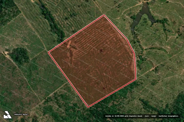 Imagem de satélite de Infração da Flora em Manicoré - AM